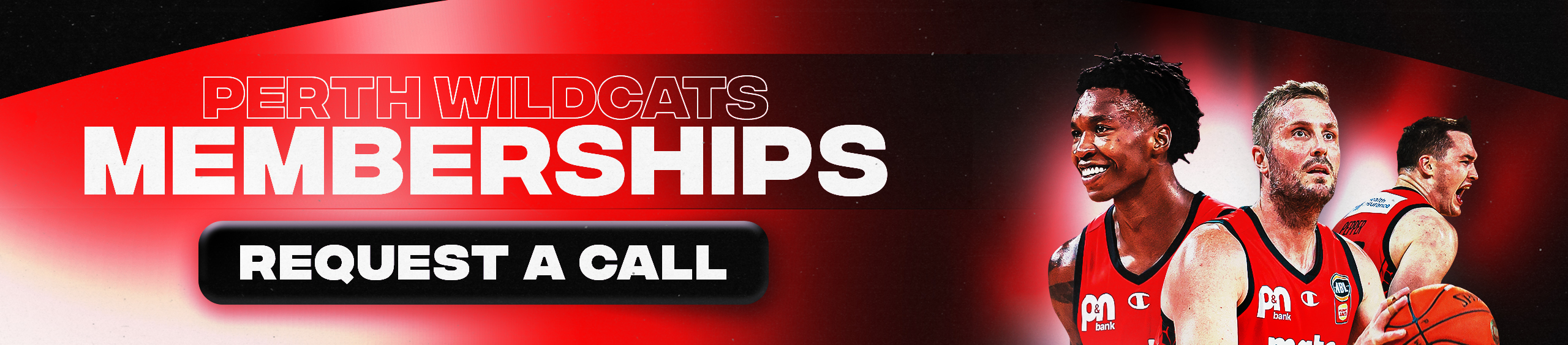 wildcats